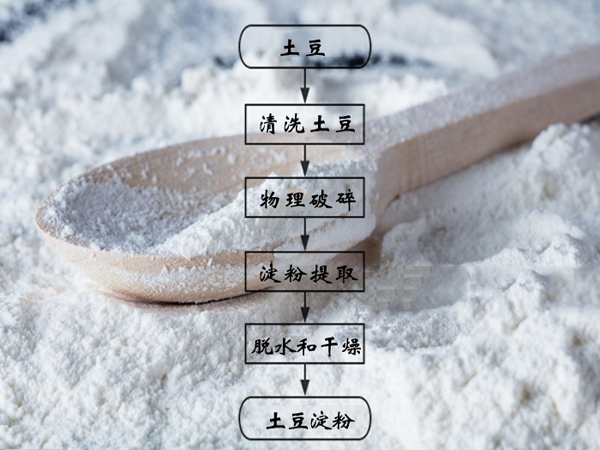 土豆淀粉的生產(chǎn)過程